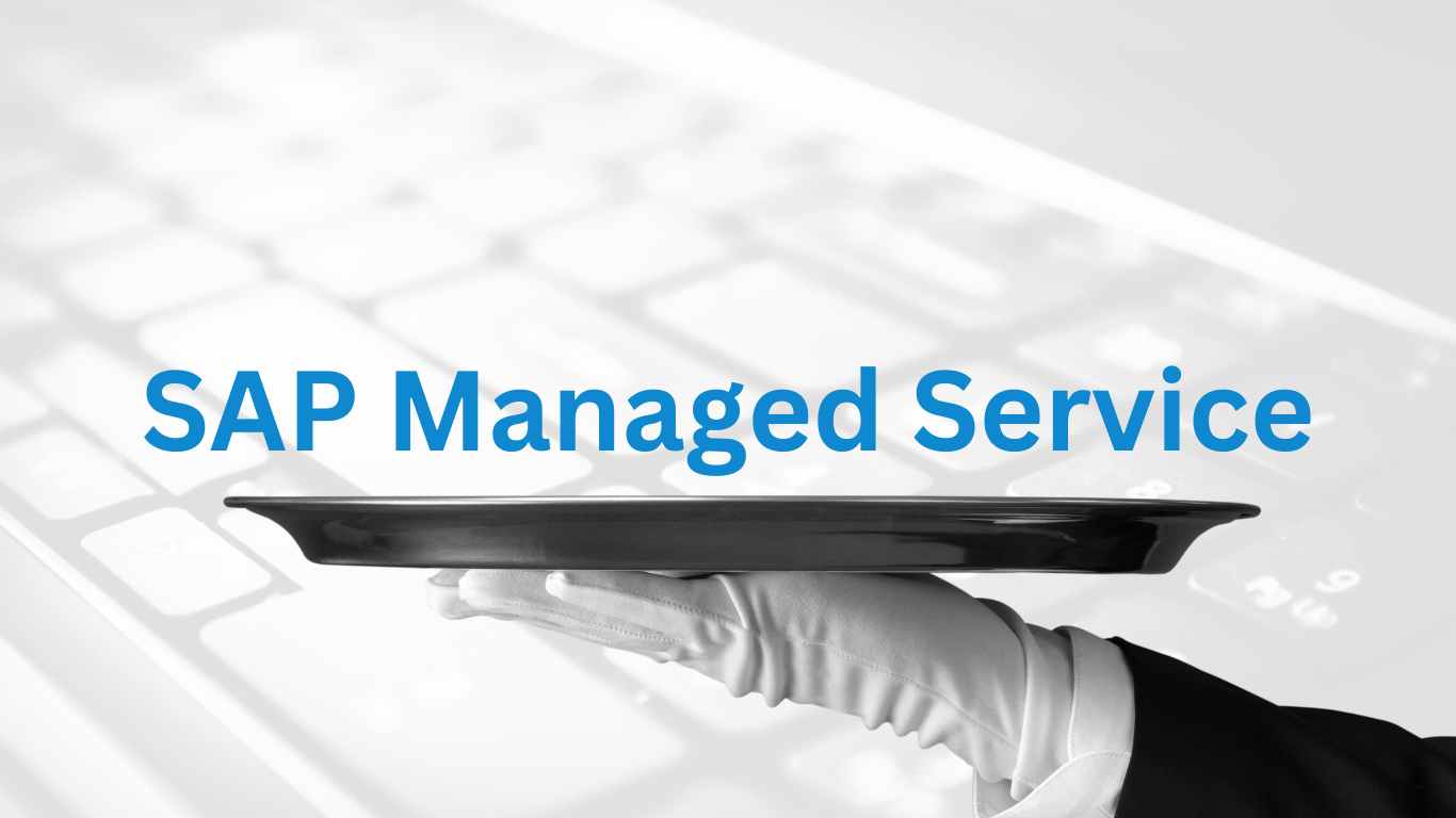 SAP Managed Service