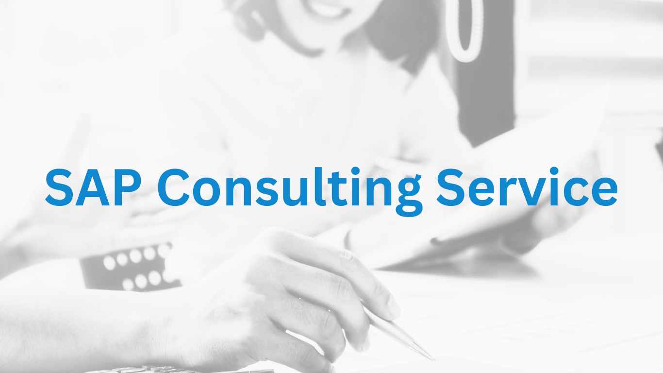 SAP Consulting Service (2)